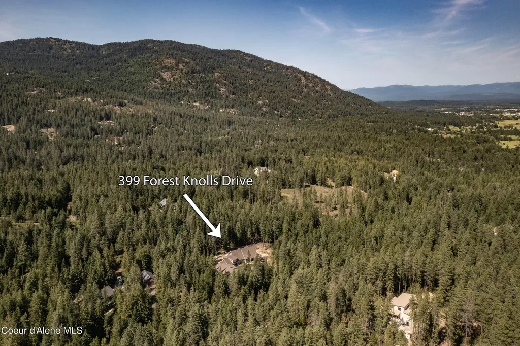 399 Forest Knolls Drive Sandpoint ID 83864