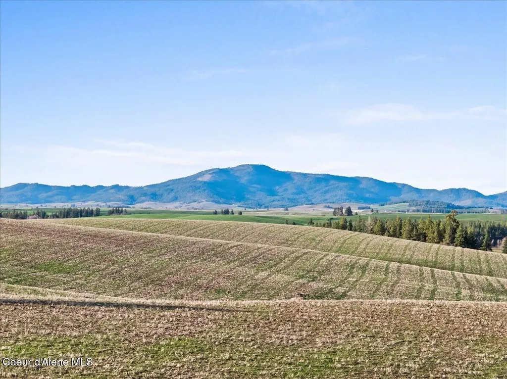 19454 S Idaho Road Worley ID 83876