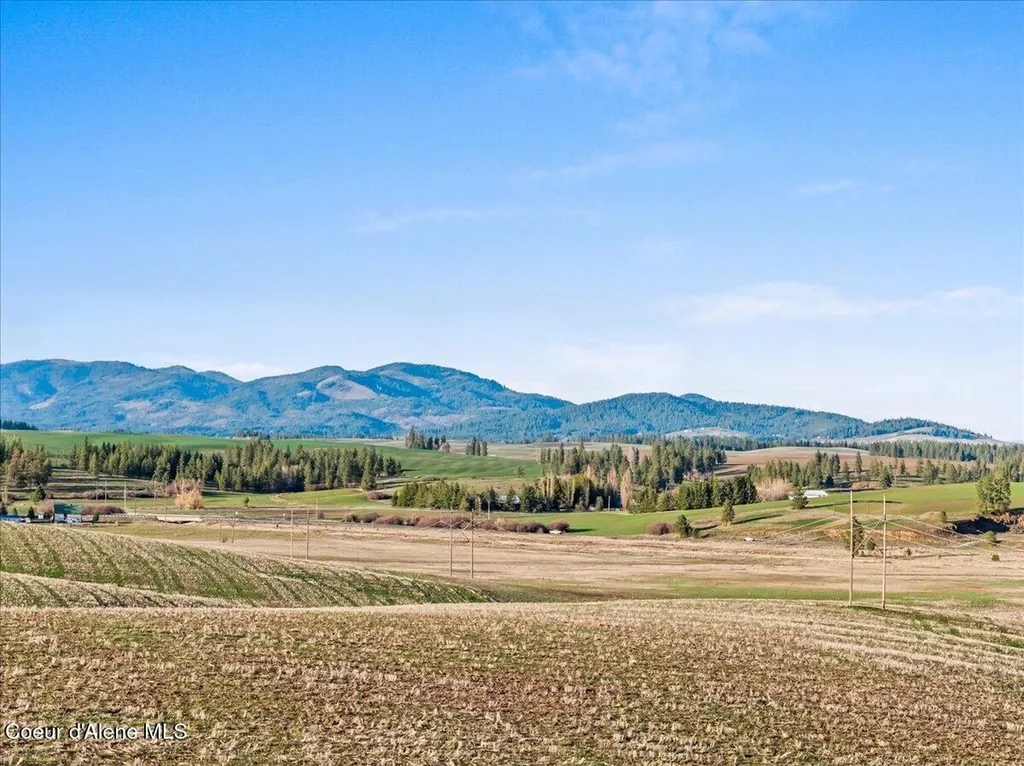 19454 S Idaho Road Worley ID 83876