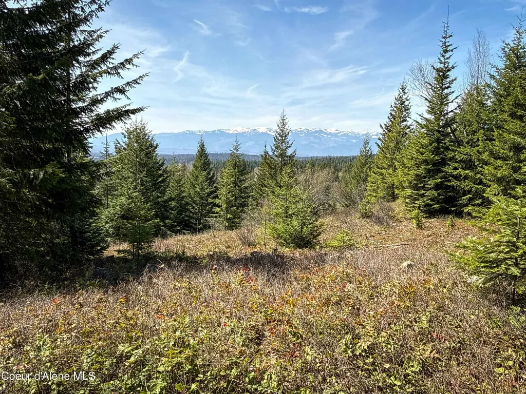 Nka Raven Ridge Sandpoint ID 83864
