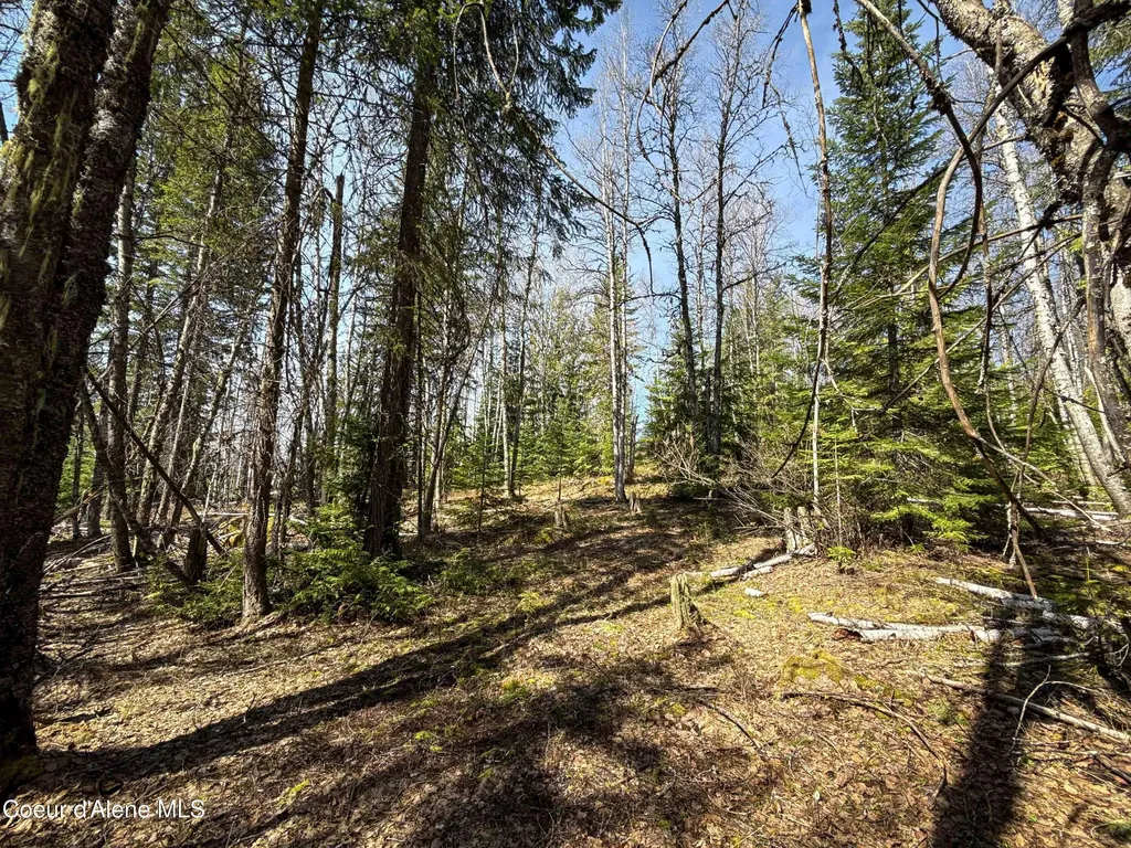 Nka Raven Ridge Sandpoint ID 83864