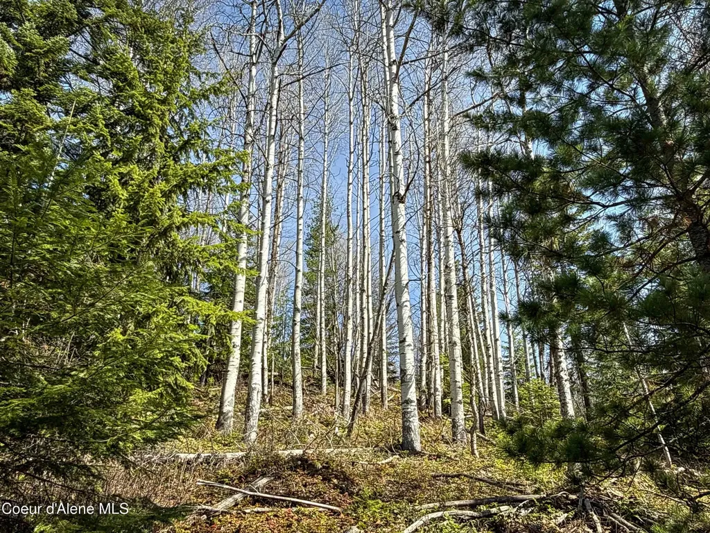 Nka Raven Ridge Sandpoint ID 83864