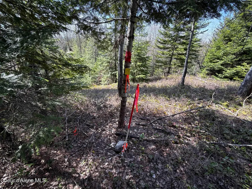 Nka Raven Ridge Sandpoint ID 83864