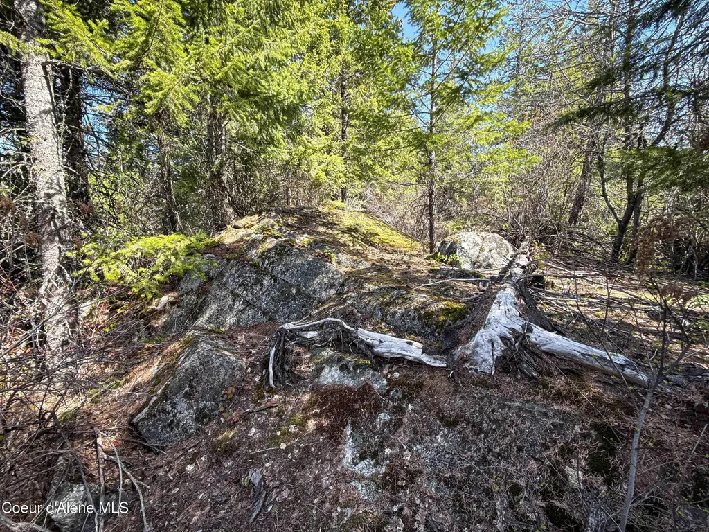 Nka Raven Ridge Sandpoint ID 83864