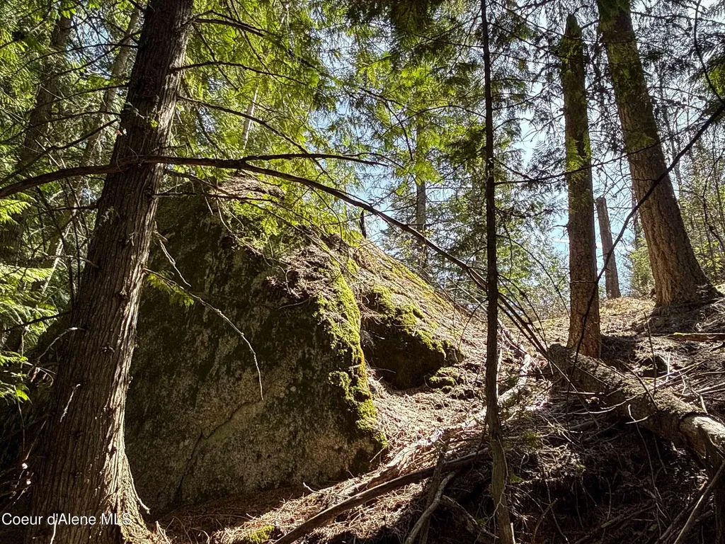 Nka Raven Ridge Sandpoint ID 83864