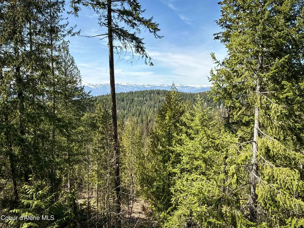 Nka Raven Ridge Sandpoint ID 83864