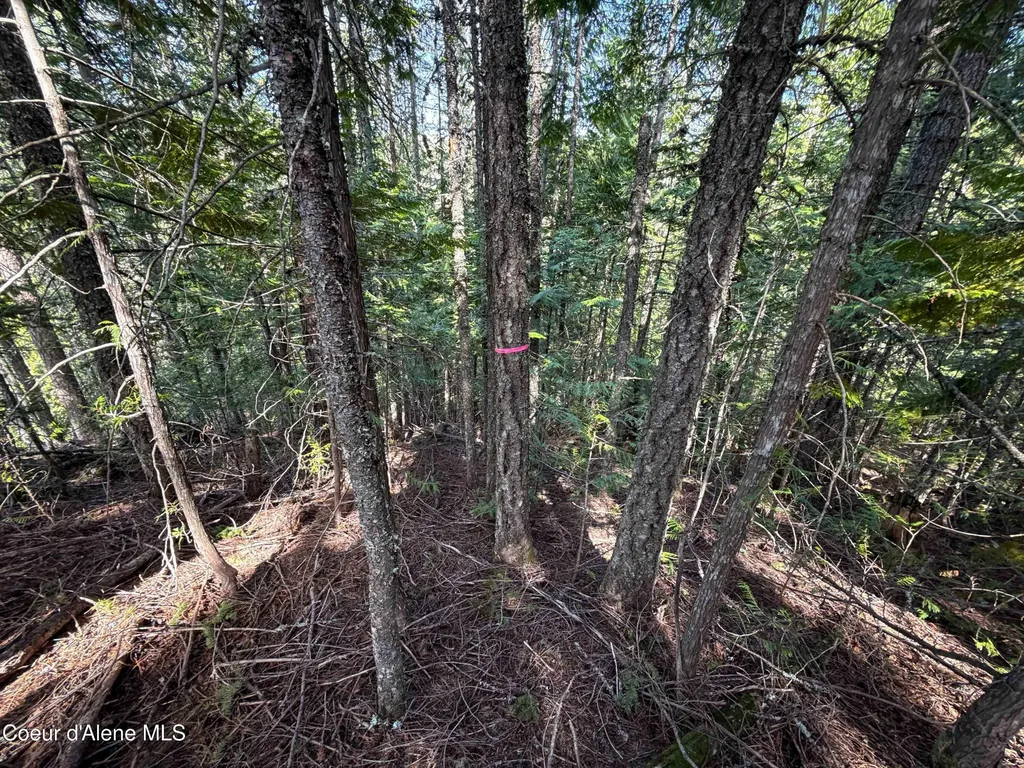 Nka Raven Ridge Sandpoint ID 83864
