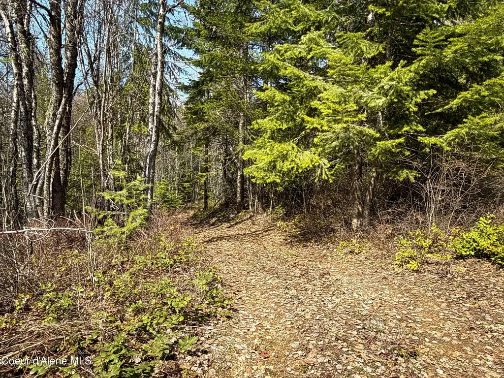 Nka Raven Ridge Sandpoint ID 83864