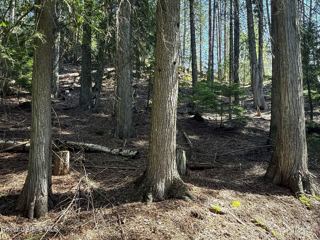 Nka Raven Ridge Sandpoint ID 83864