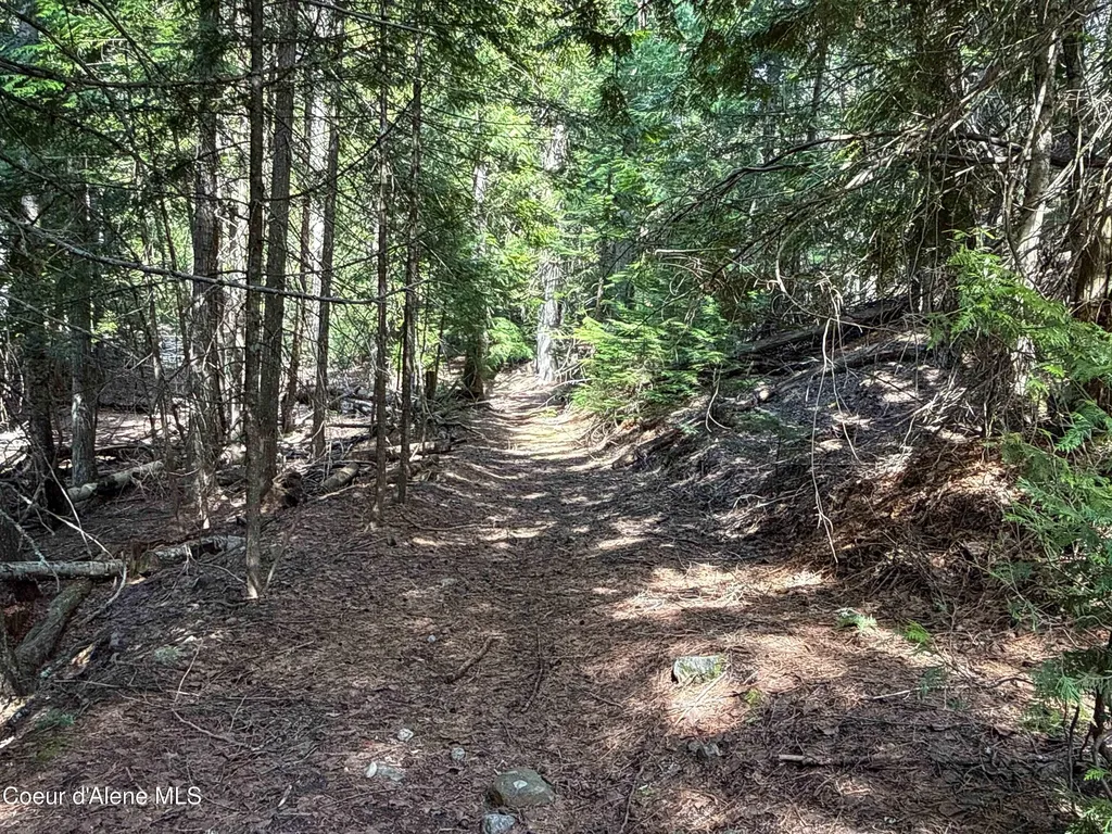 Nka Raven Ridge Sandpoint ID 83864