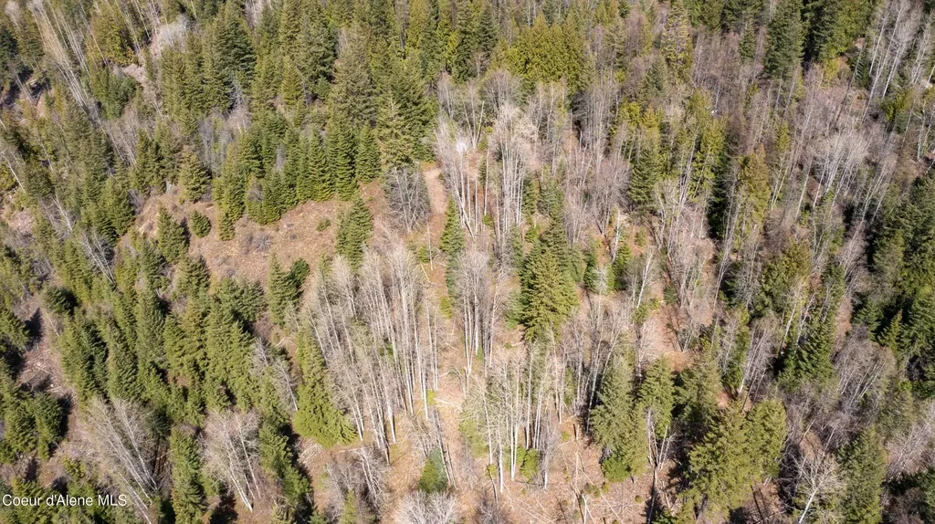 Nka Raven Ridge Sandpoint ID 83864