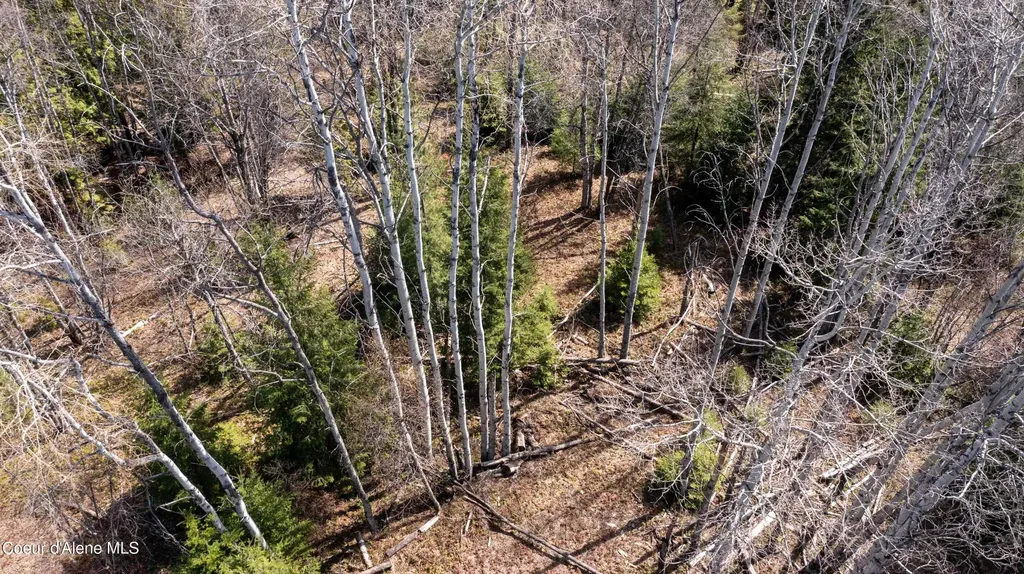 Nka Raven Ridge Sandpoint ID 83864