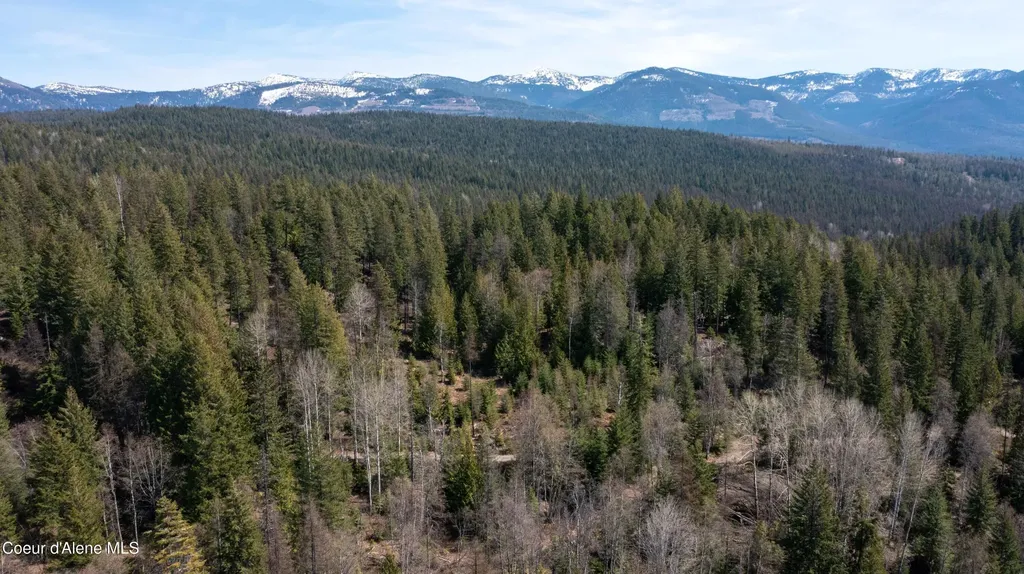 Nka Raven Ridge Sandpoint ID 83864