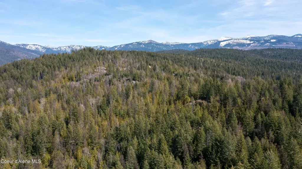 Nka Raven Ridge Sandpoint ID 83864