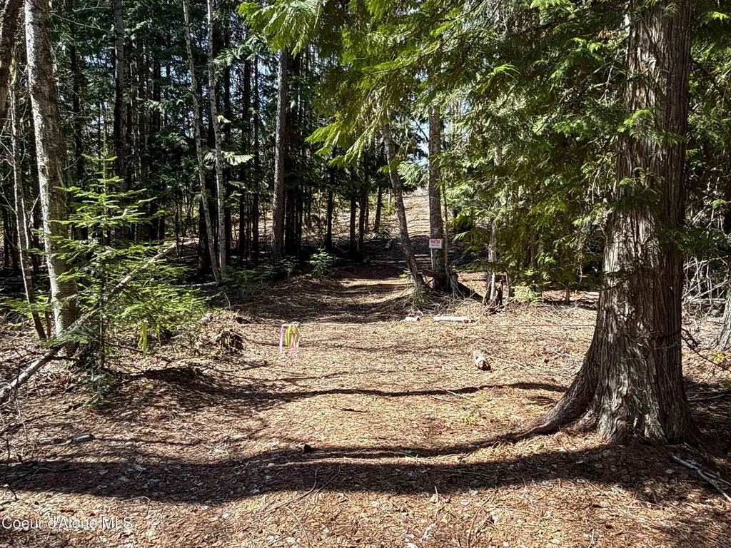 Nka Raven Ridge Sandpoint ID 83864