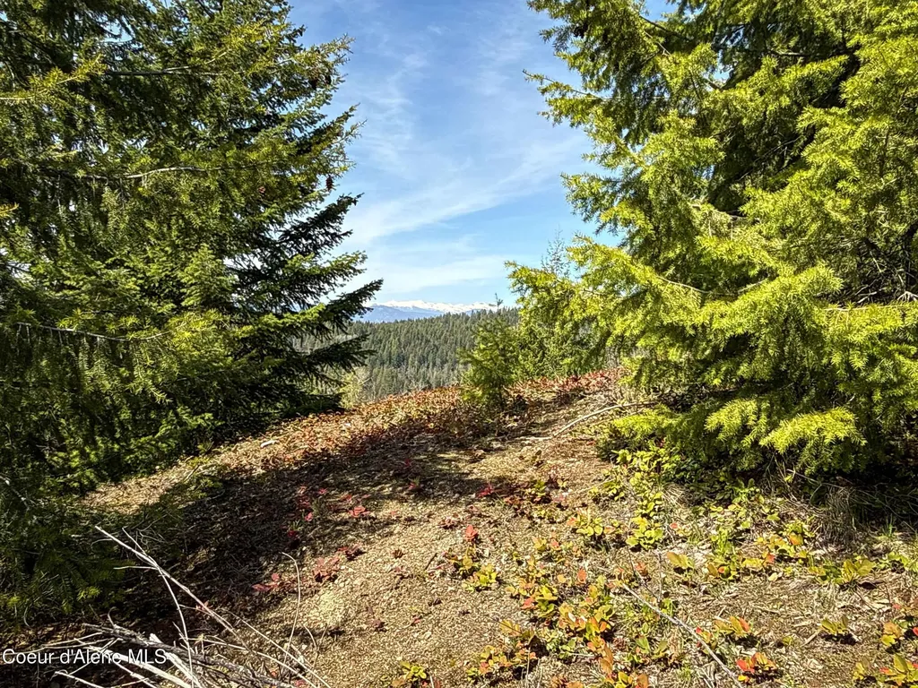 Nka Raven Ridge Sandpoint ID 83864