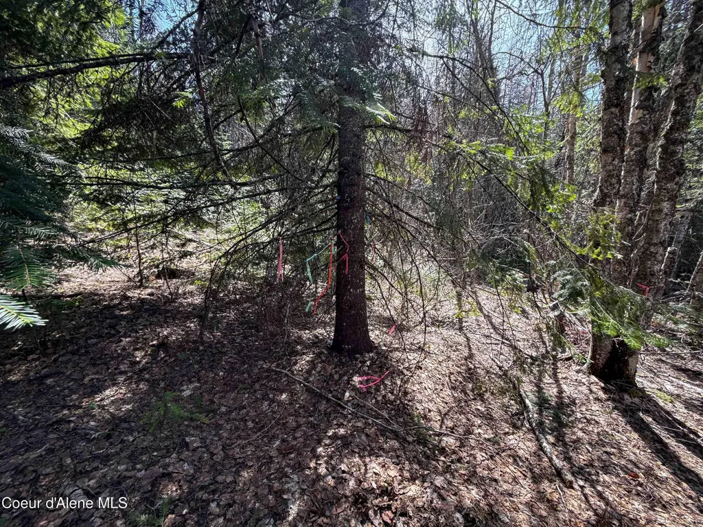 Nka Raven Ridge Sandpoint ID 83864
