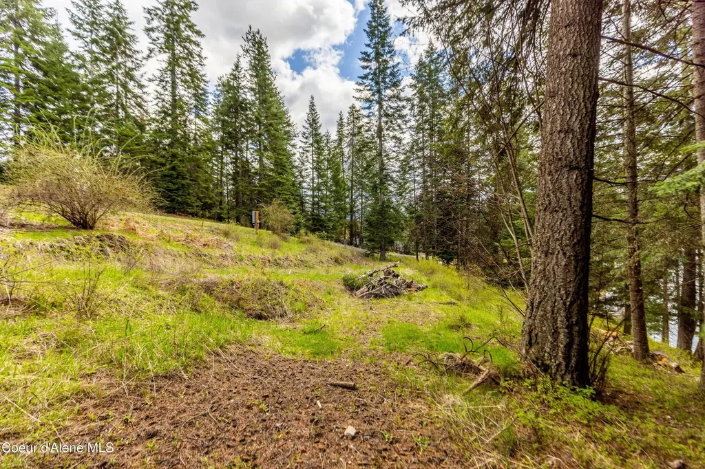 Nka Sportsman Park Road Hayden ID 83835