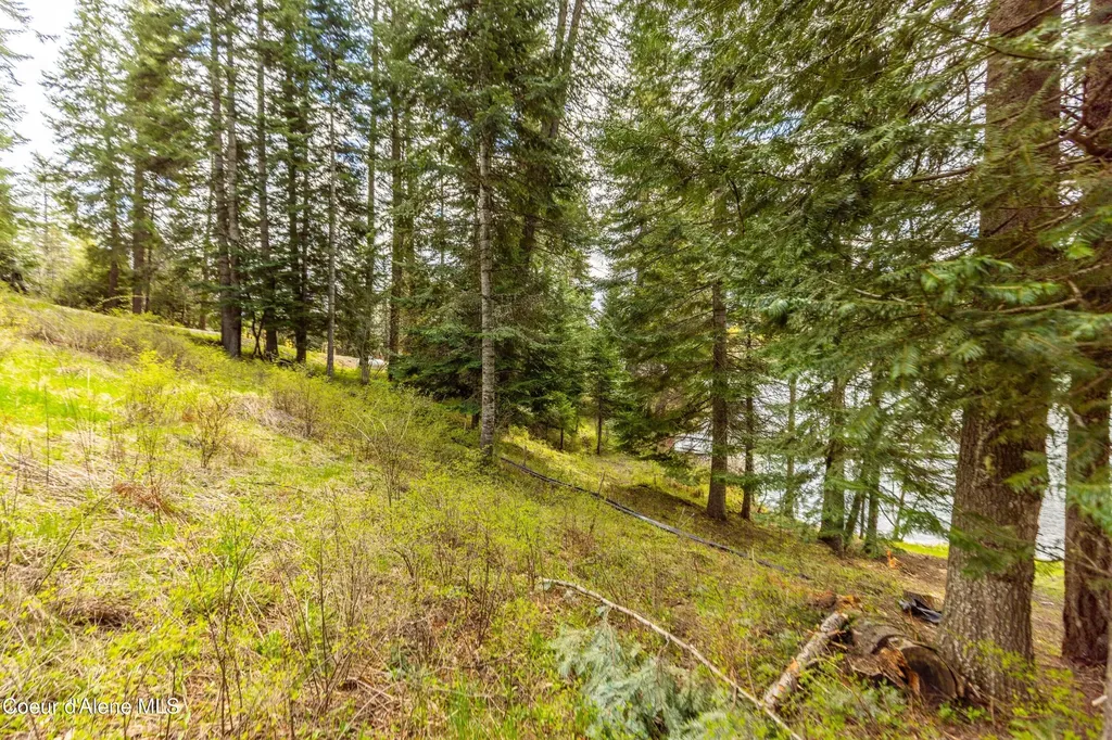 Nka Sportsman Park Road Hayden ID 83835