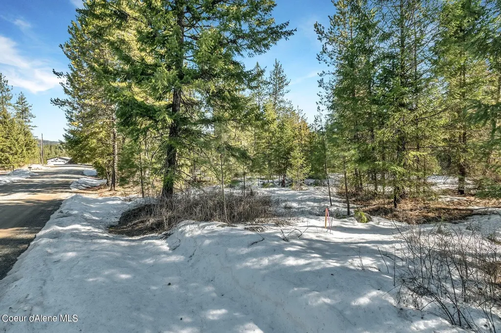 Nka Lot 1 Everett Huff Road Oldtown ID 83822