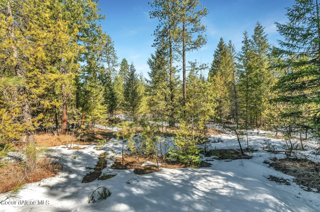 Nka Lot 1 Everett Huff Road Oldtown ID 83822
