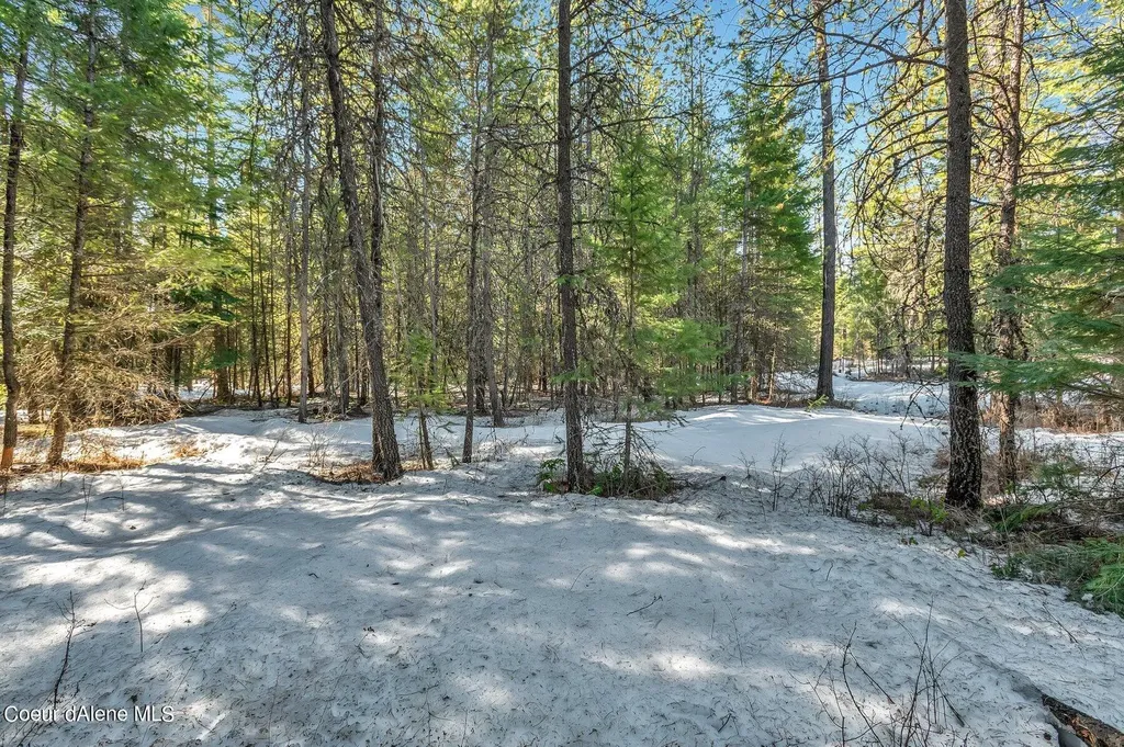 Nka Lot 1 Everett Huff Road Oldtown ID 83822