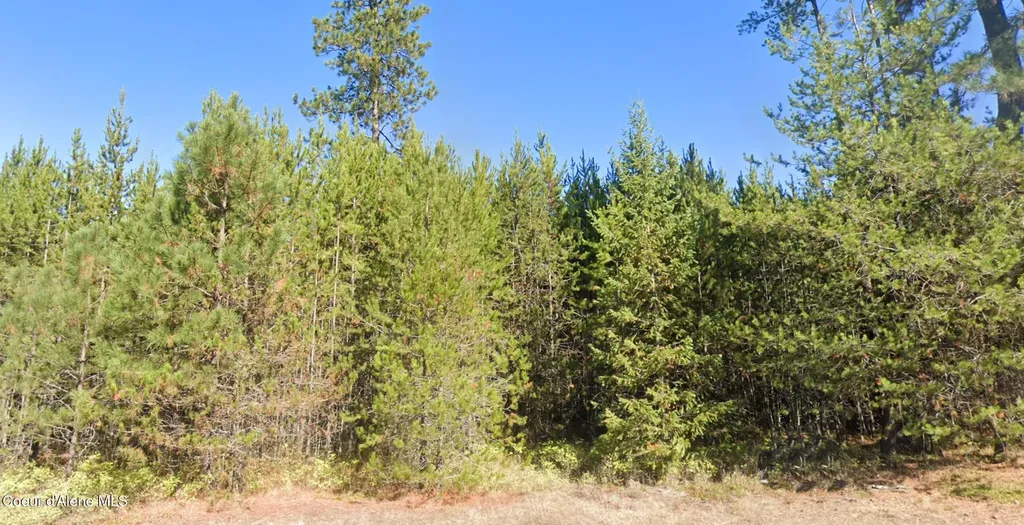 755 Tweedie Road Blanchard ID 83804