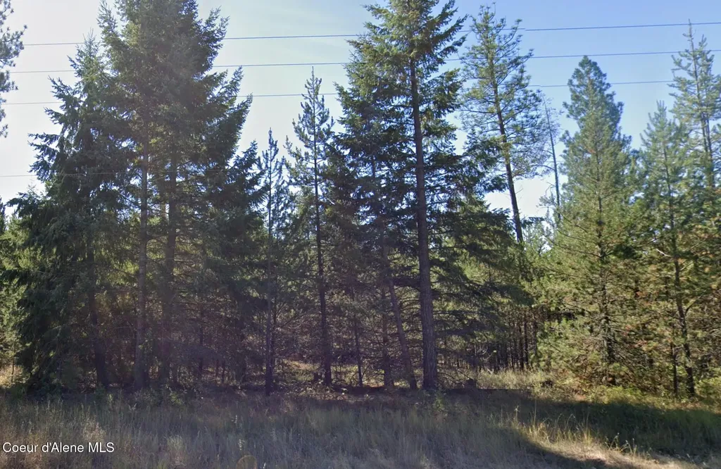 755 Tweedie Road Blanchard ID 83804