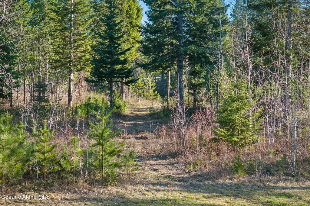 1562 W Laramie Avenue Rathdrum ID 83858