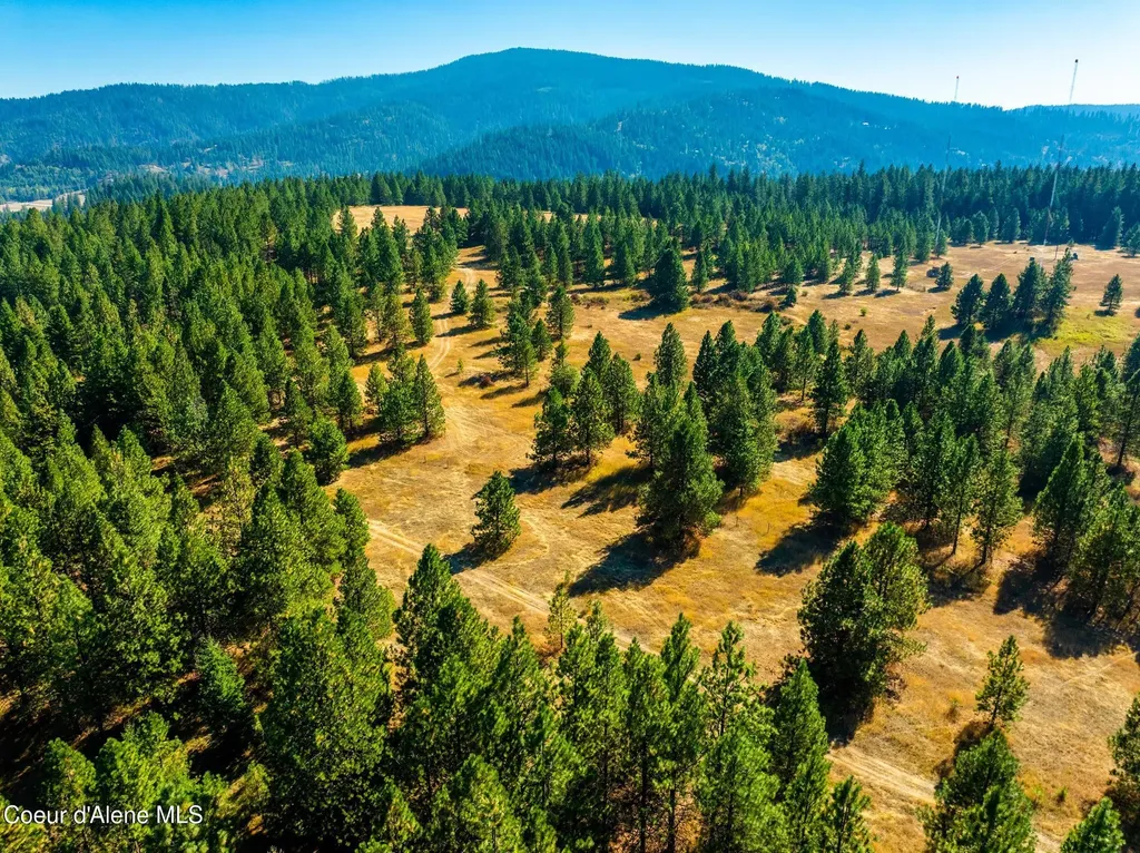 5727 S Odelin Lane Harrison ID 83833
