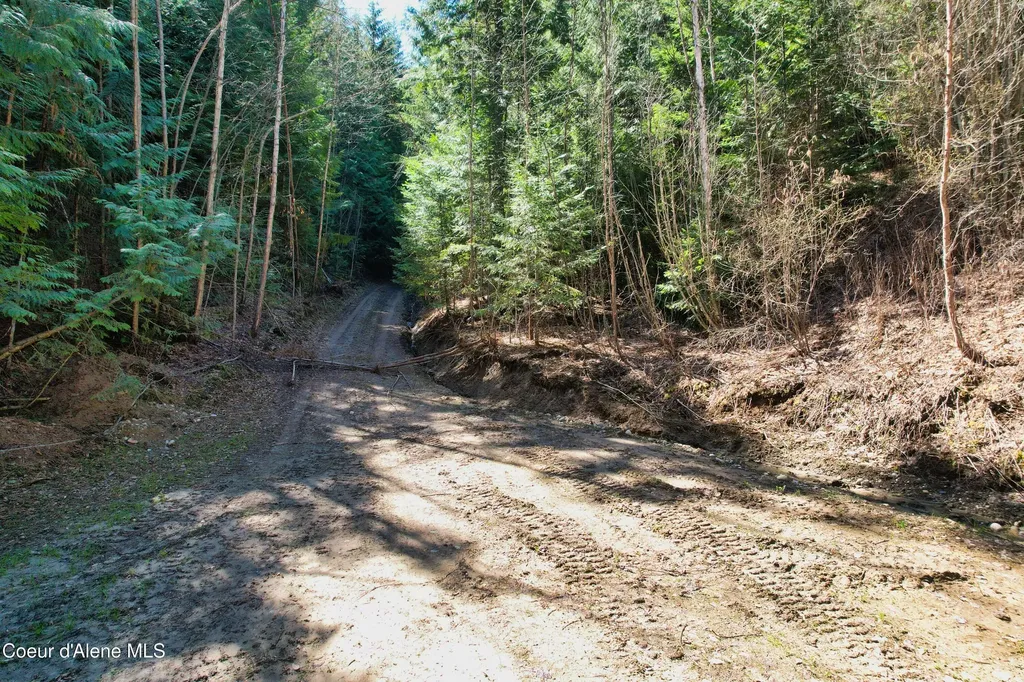 Nna 20 Acres Juniper Lane Naples ID 83805