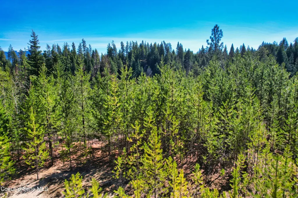 Nna 20 Acres Juniper Lane Naples ID 83805