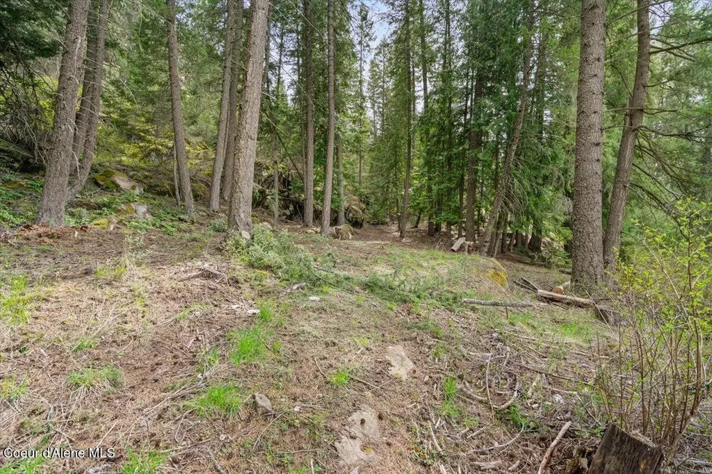 69 Turner Drive Priest River ID 83856