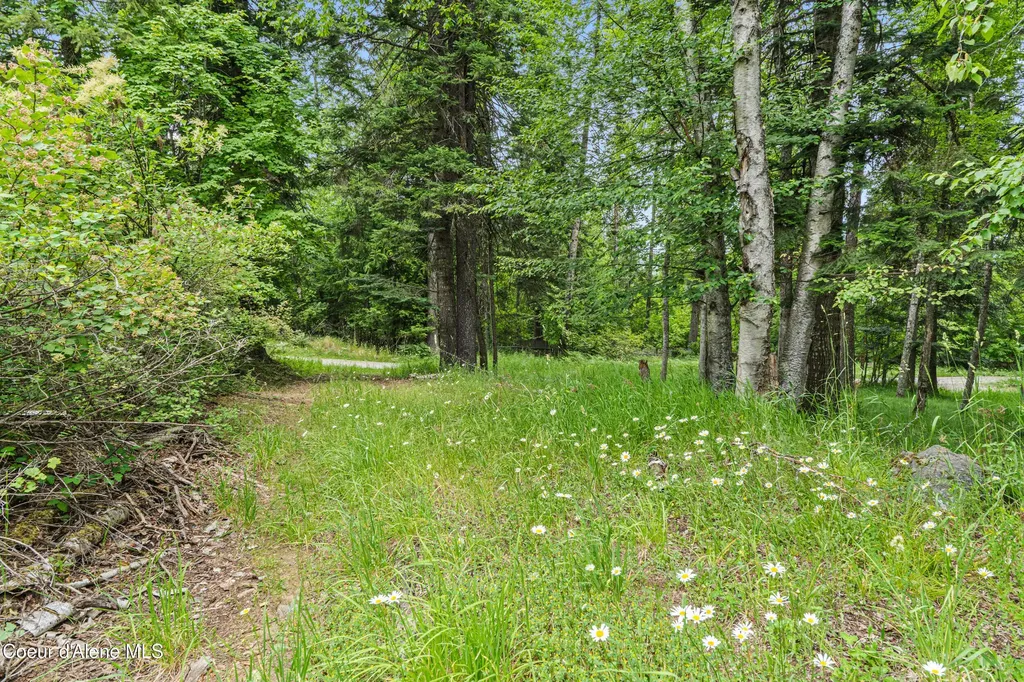 Lot 10 Birch Beauty Road Priest River ID 83856