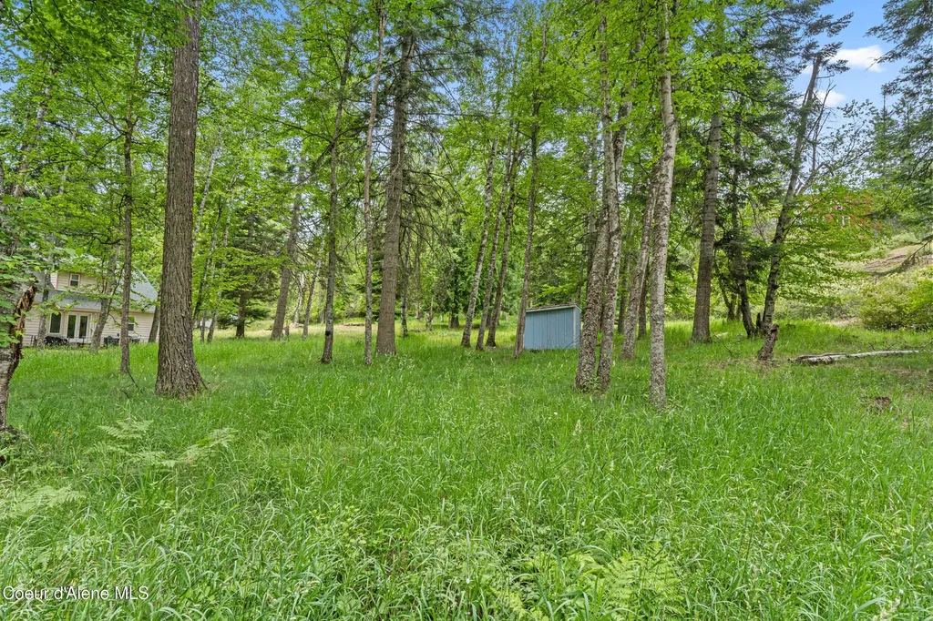Lot 10 Birch Beauty Road Priest River ID 83856