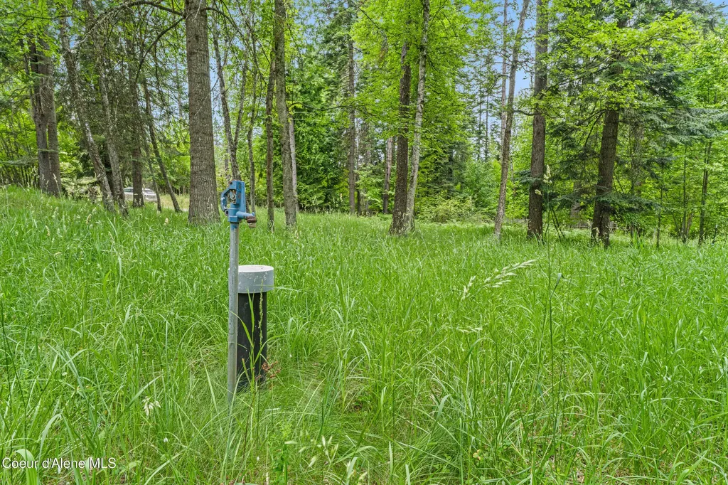 Lot 10 Birch Beauty Road Priest River ID 83856