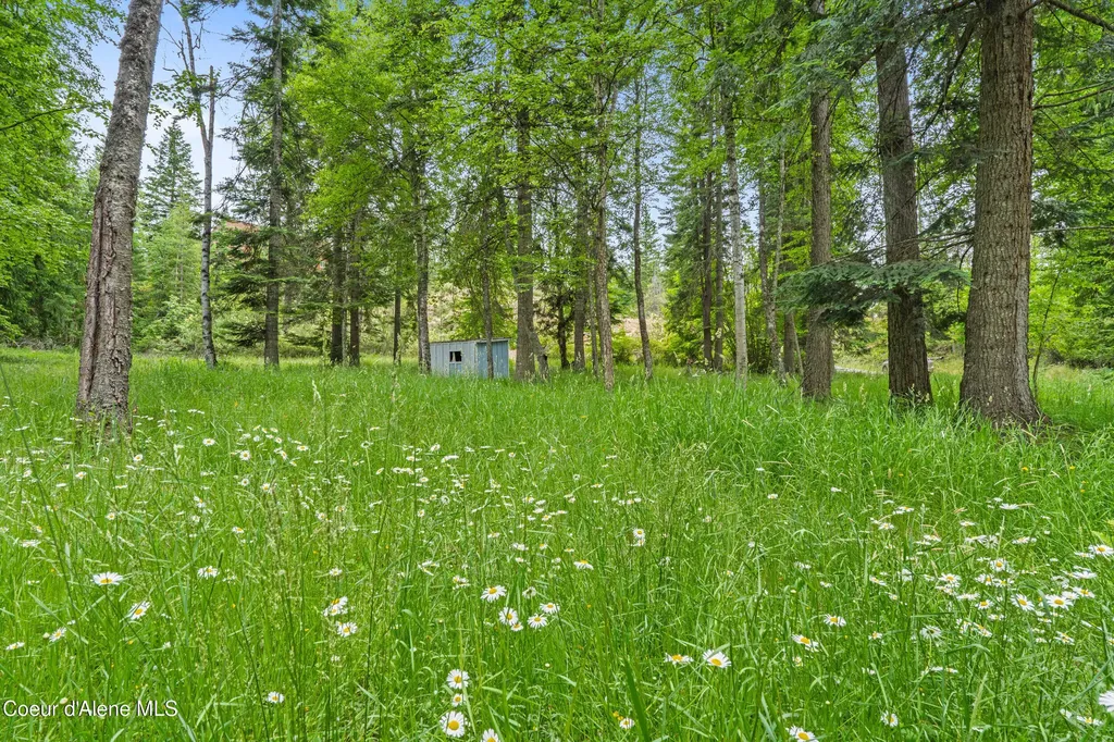 Lot 10 Birch Beauty Road Priest River ID 83856