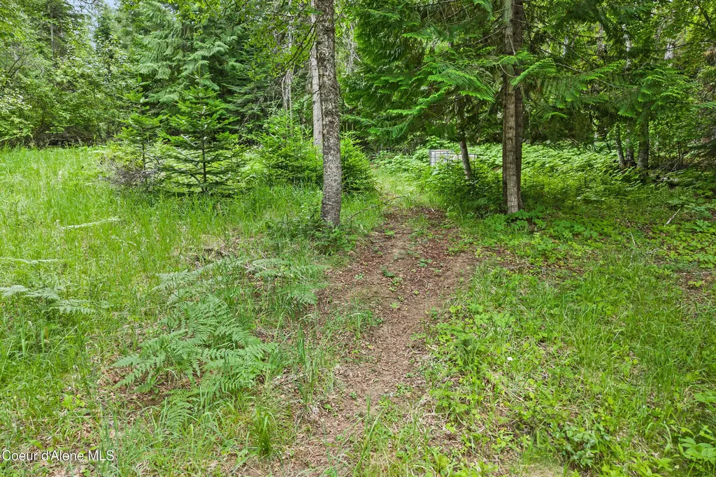 Lot 10 Birch Beauty Road Priest River ID 83856