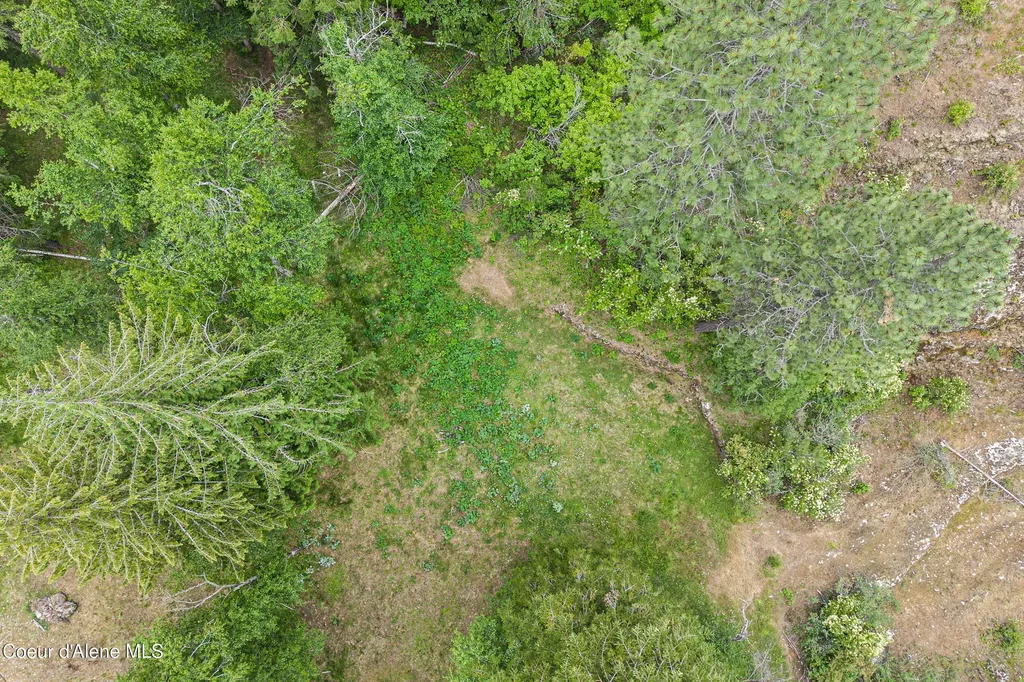 Lot 10 Birch Beauty Road Priest River ID 83856