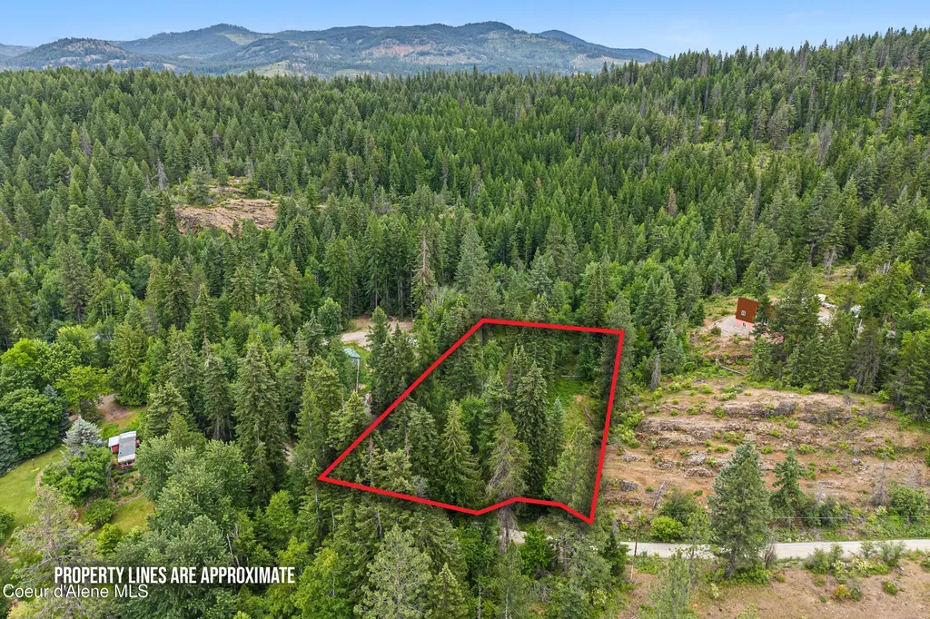 Lot 10 Birch Beauty Road Priest River ID 83856