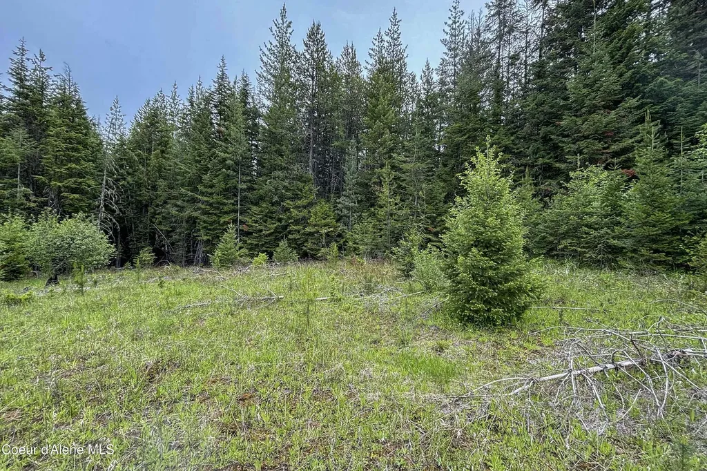 Nna Fox Creek Spur - 20 Acres Priest River ID 83856