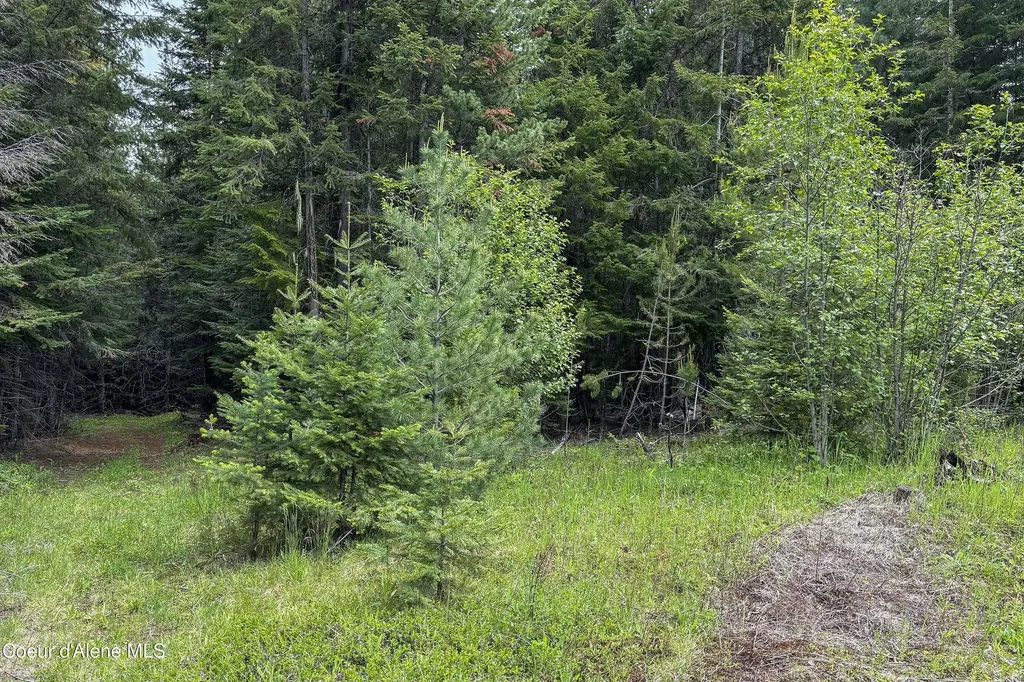 Nna Fox Creek Spur - 20 Acres Priest River ID 83856