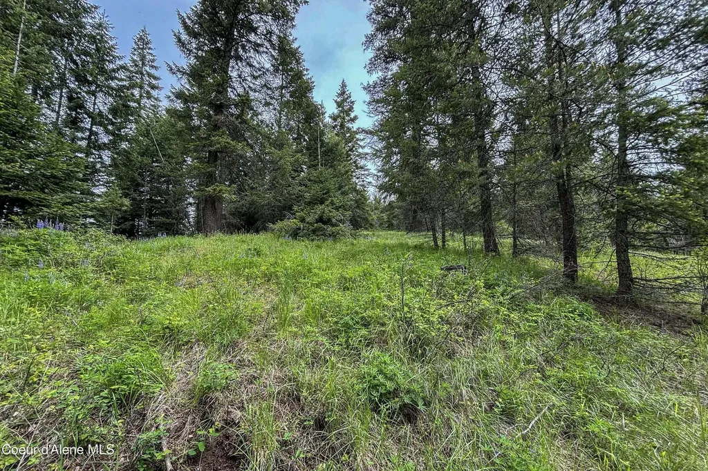 Nna Fox Creek Spur - 20 Acres Priest River ID 83856
