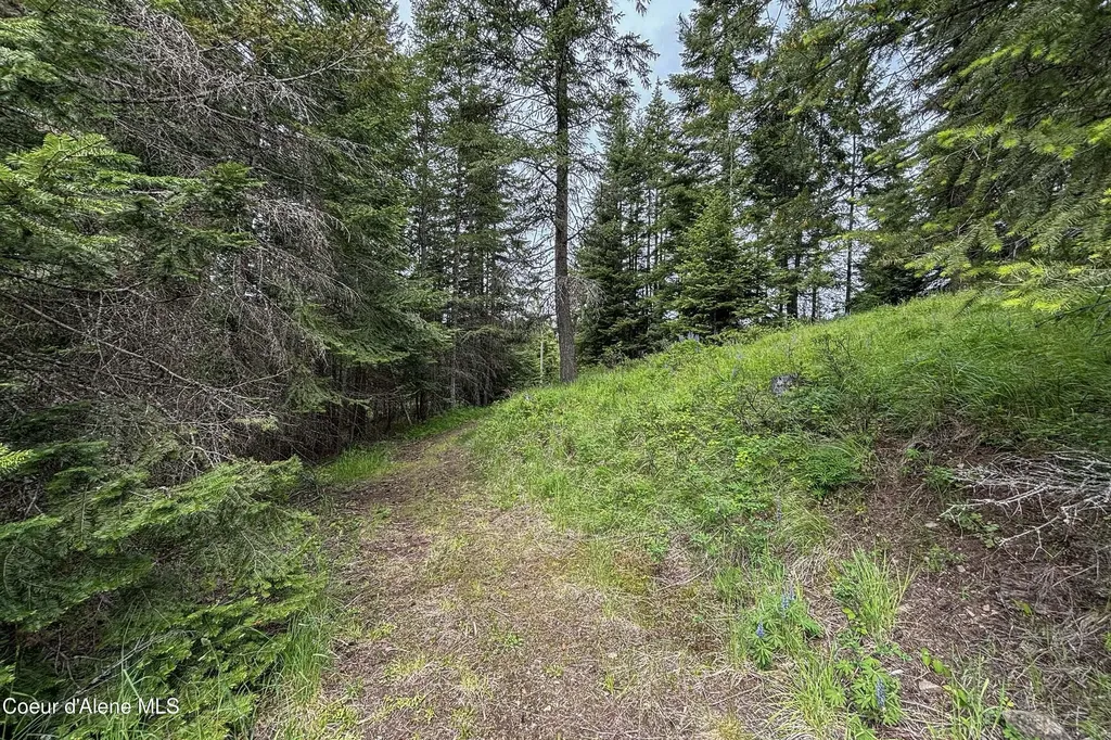 Nna Fox Creek Spur - 20 Acres Priest River ID 83856