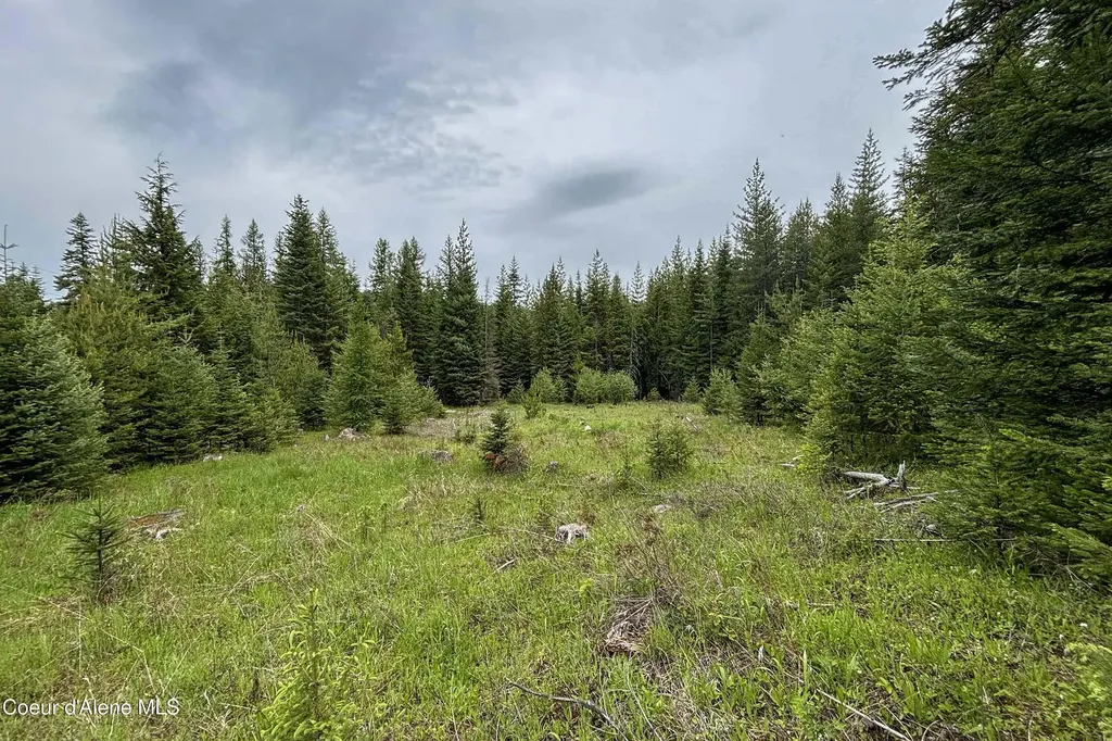 Nna Fox Creek Spur - 20 Acres Priest River ID 83856