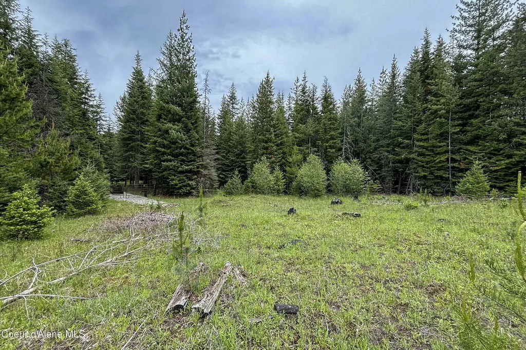 Nna Fox Creek Spur - 20 Acres Priest River ID 83856