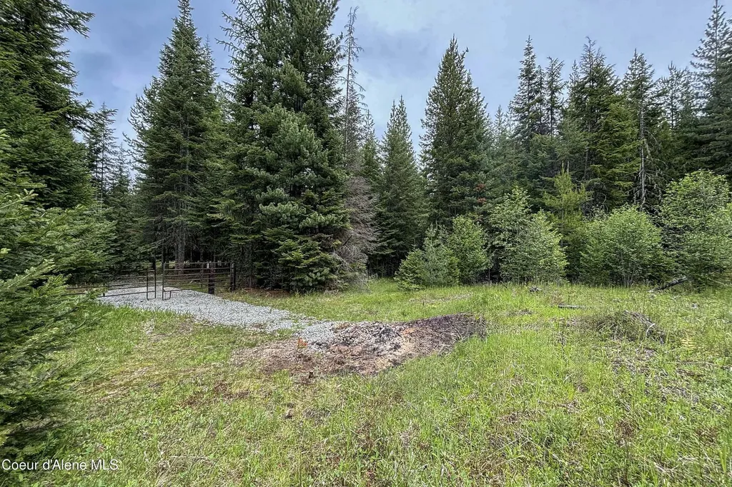 Nna Fox Creek Spur - 20 Acres Priest River ID 83856