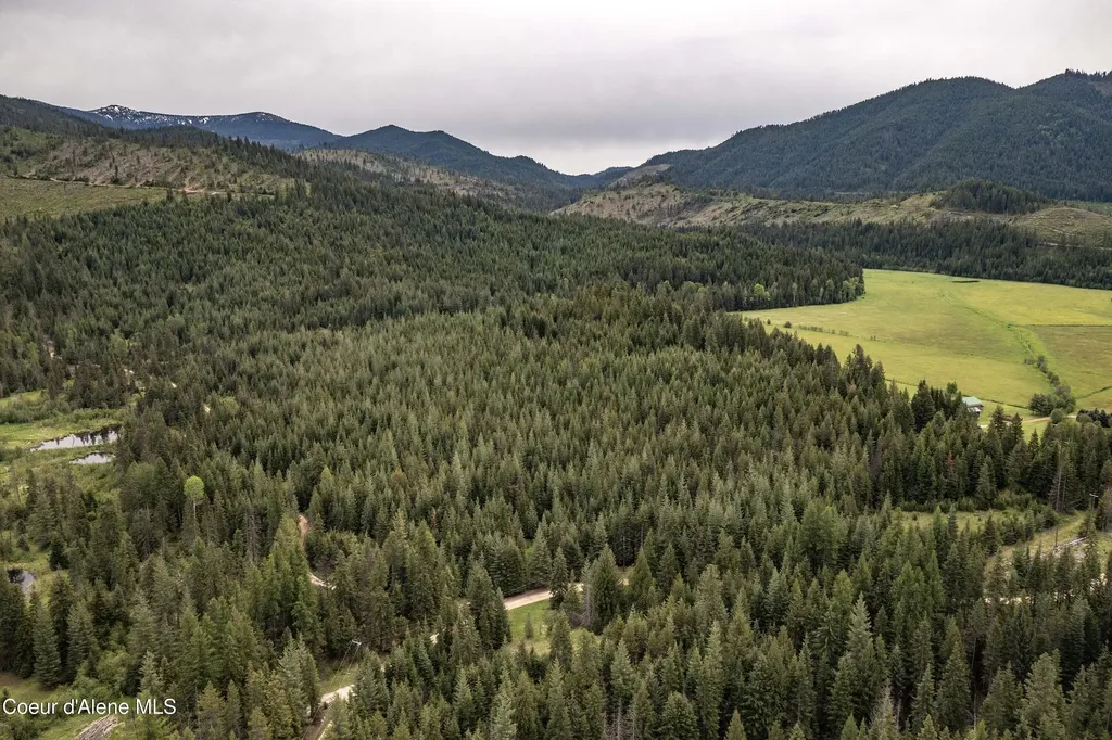 Nna Fox Creek Spur - 20 Acres Priest River ID 83856