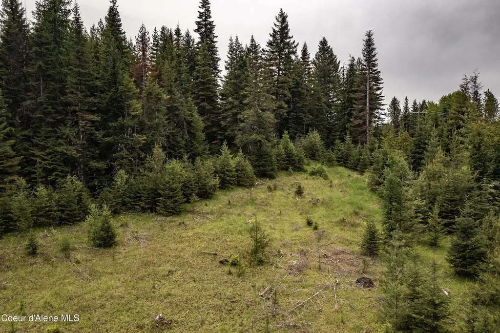 Nna Fox Creek Spur - 20 Acres Priest River ID 83856