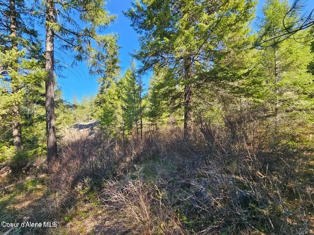 Nna N Sunset Hill Road Athol ID 83801